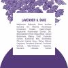 image:imageSchmidts AluminumFree Vegan Deodorant Lavender amp Sage with 24 Hour Odor Protection 2 Count for Women and Men Natural Ingredients CrueltyFree 265 oz265 Ounce Pack of 4